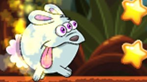Jungle Explorer Puzzle Adventure