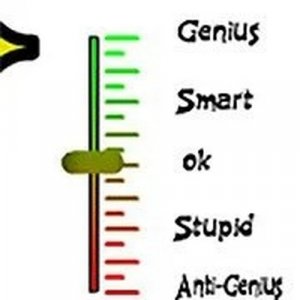 Stupid Test and a Half Online Puzzle Game - Puzzle Game