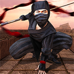 Ninja Academy Online Game Arcade Game