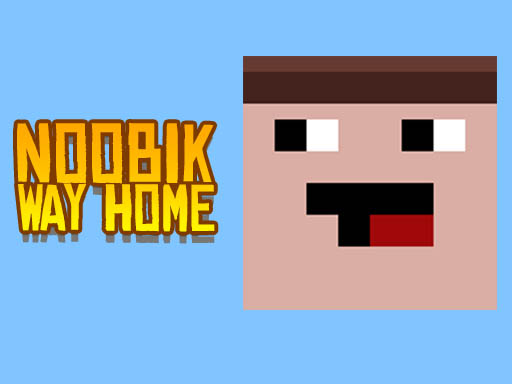 Nubik's Way Home Puzzle