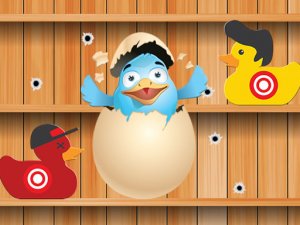Duck Challenge Shooting Arcade Game