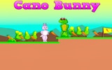 Cano Bunny: Carrot Quest Online Game