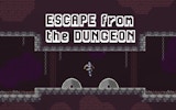 Escape from the Dungeon: Pixel Platformer Adventure Online Game
