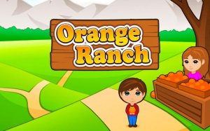 Orange Ranch Bubble Precision Fighter Online Game