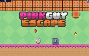 Pink Dash Runner - Endless Arcade
