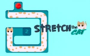 Flexible Cat Puzzle Journey