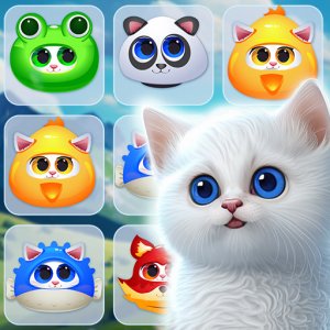 Kitty Jewel Quest Online Puzzle Game