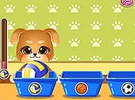 Canine Style Playtime