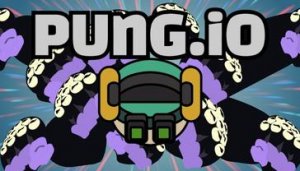 Pung.io Multiplayer Arena